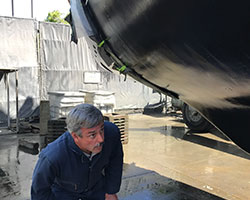 Day 4-What is a survey