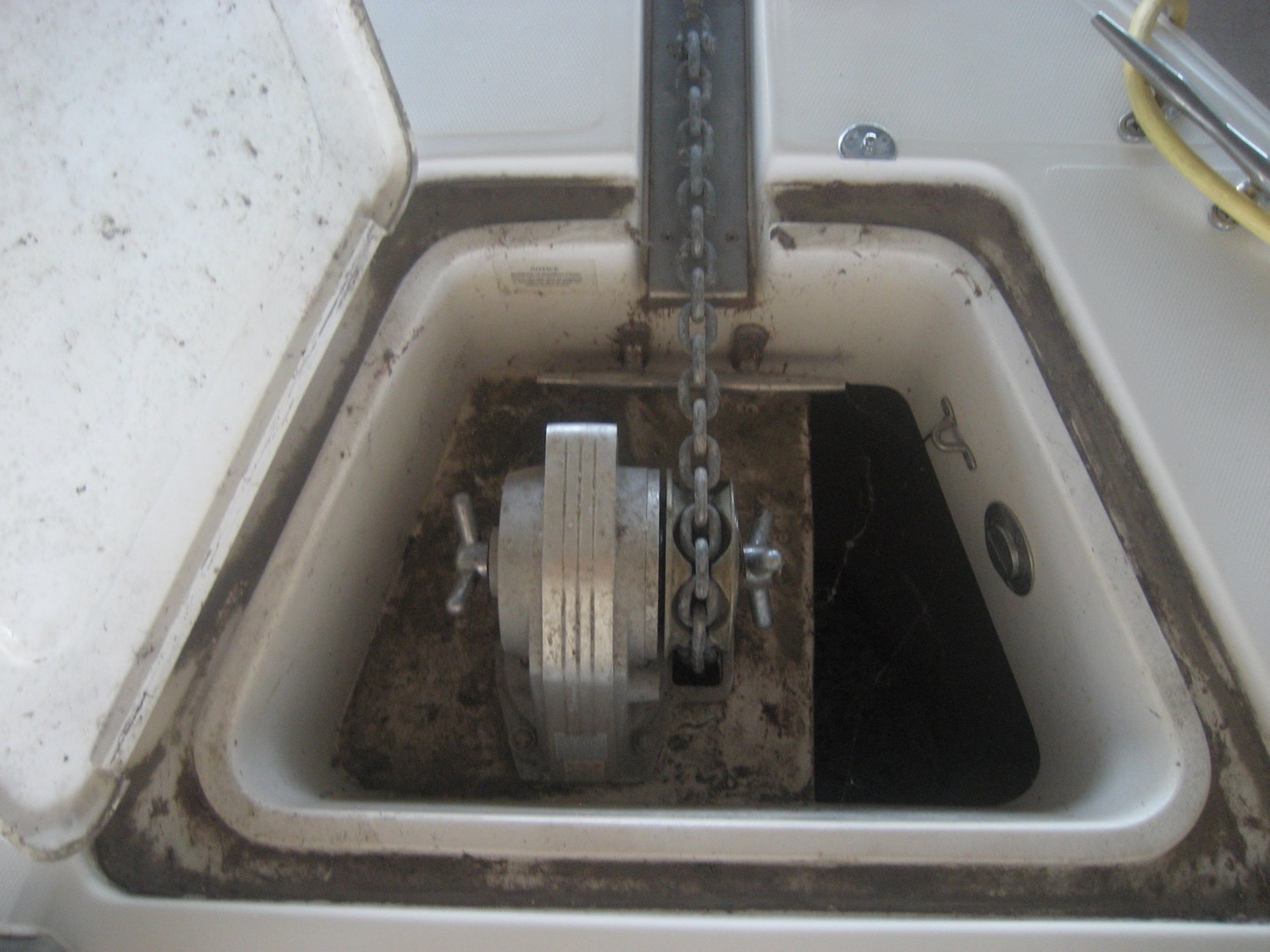 Regal 3260 Commodore - Andiamo 29