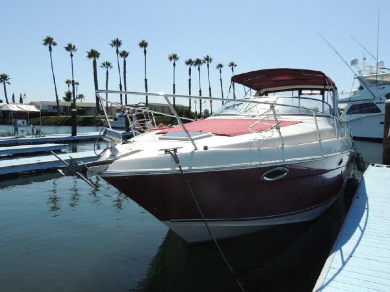 Regal 3260 Commodore - Andiamo 3