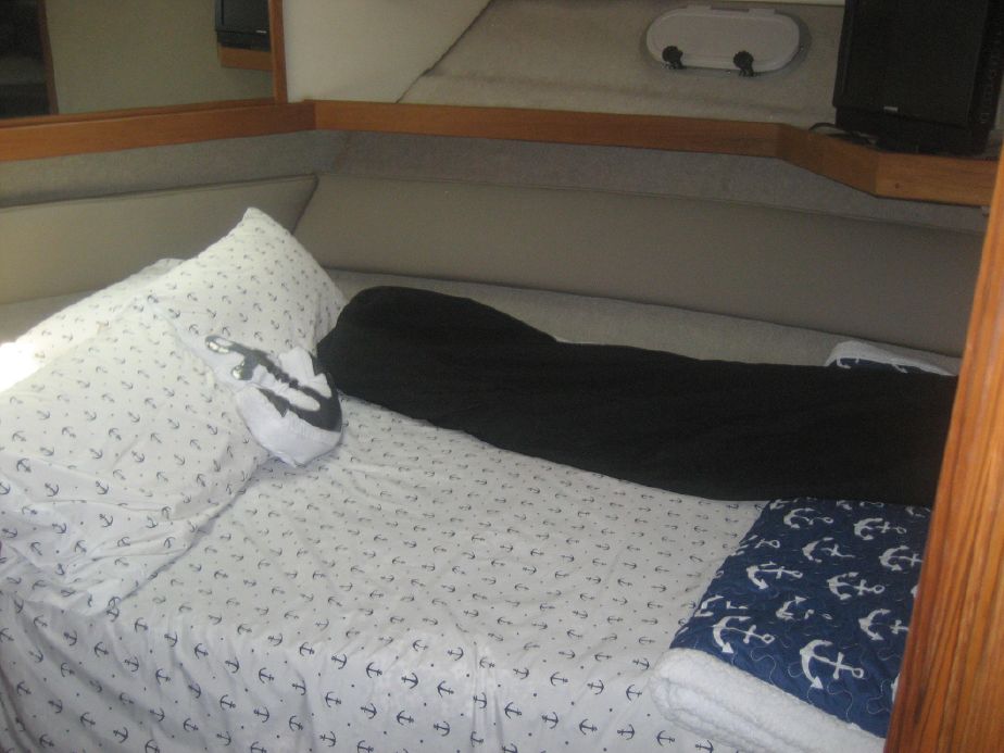 Bayliner 4087 - TI AMO 25