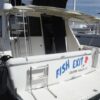 39 Bayliner 3988 - FISH EXIT 4