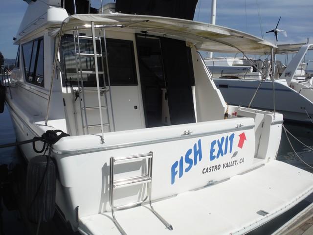 39 Bayliner 3988 - FISH EXIT 4