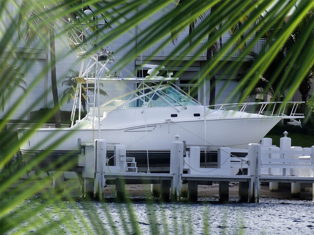 docked yacht viewed through palm leaves