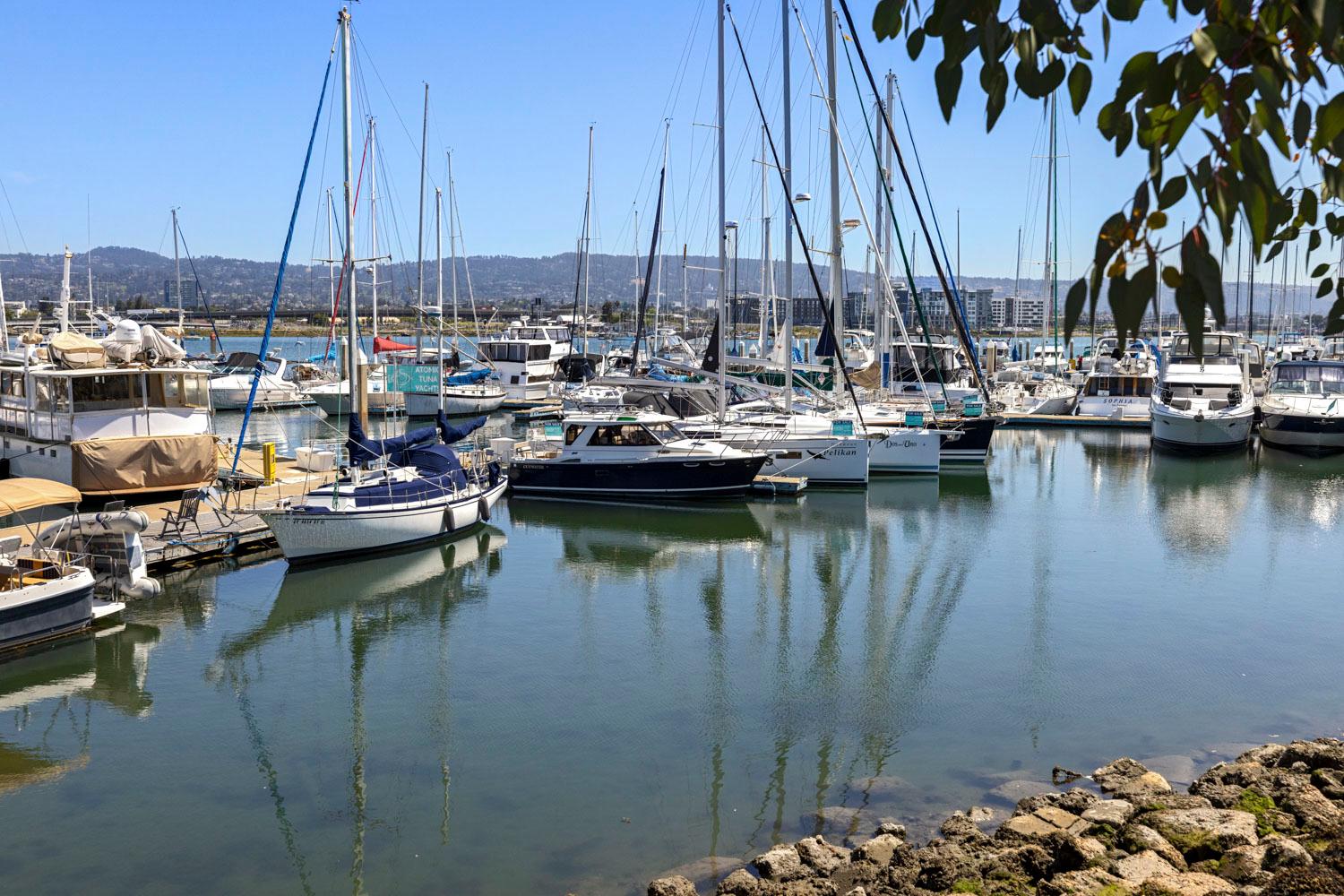 2015 Cutwater 26 DEVIATION 3