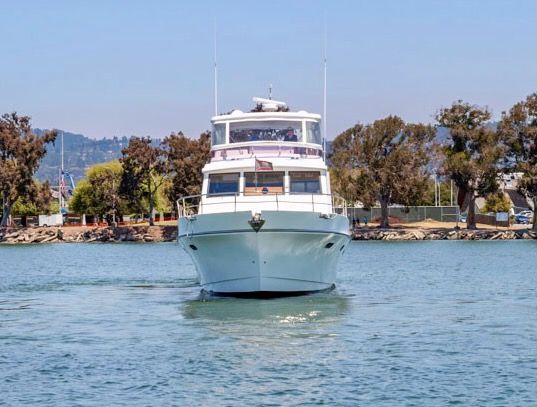 Symbol 558 - DOS GATOS 2